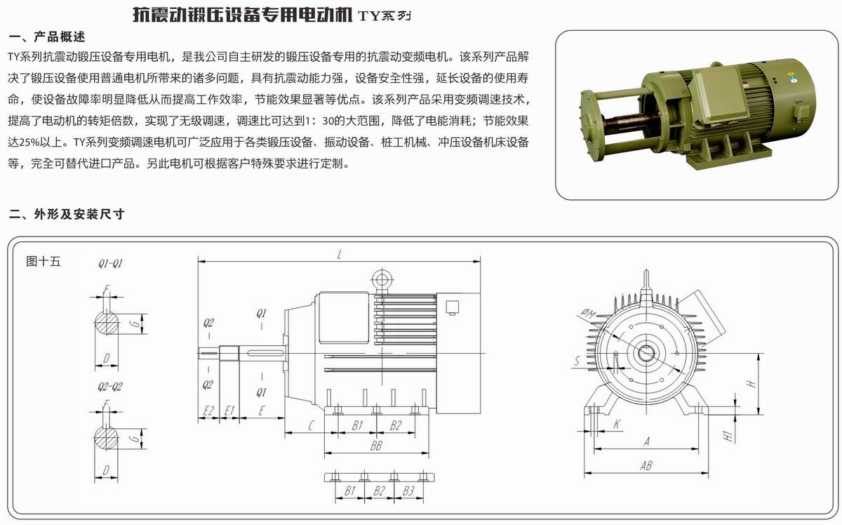 抗震動鍛壓設備專用電動機  TY系列 01